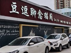 -豆逗聊愈猫阁Easy Life