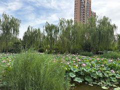 -南翠屏公园
