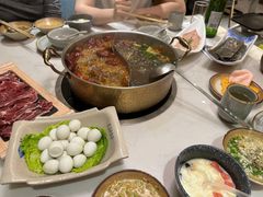 -菌子鲜汤野生菌锅