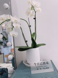 -德绣·机器野生眉发际线·美瞳线半永久