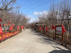 -香木香羊(小汤山店)