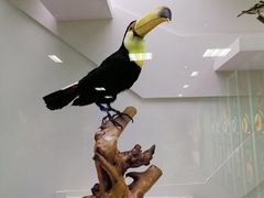 -国家自然博物馆