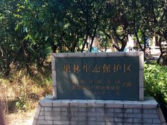 -小洲村