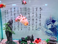 -南京海底世界