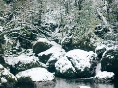 -龙苍沟森林公园