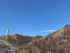 -中华福寿山