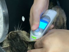-萌兽医馆·绝育·24小时内科·宠物医院(德胜店)