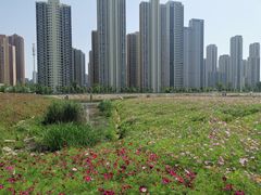 -汉江湾体育公园
