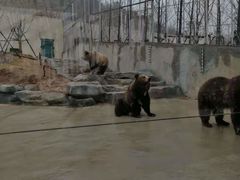-南京金牛湖风景区