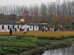 -溱湖国家湿地公园