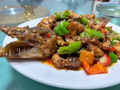 -煲来饱去冷水鱼