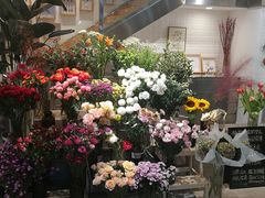 -植物学家的女儿(北马道巷店)