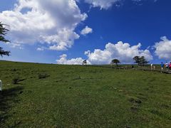 -芦芽山旅游度假区