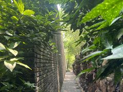 -水绘园