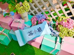 -苏小糖(鼓浪屿三丘田花园店)