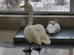-沈阳森林动物园