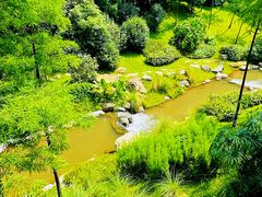 -云溪植物园