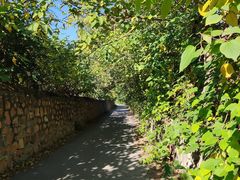 -北京鹫峰国家森林公园