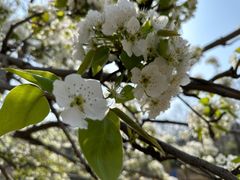 -元大都城垣遗址公园