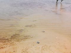 -观澜小洱海