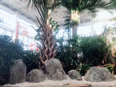 -悦隆庄温泉度假酒店