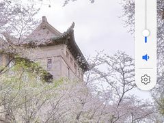 -武汉大学-樱园