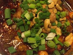 -老号尤兔头(幸福店)