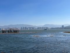 -洱海月湿地公园
