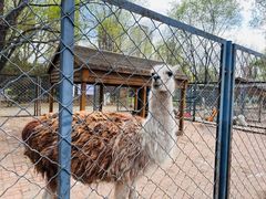-长白岛森林公园