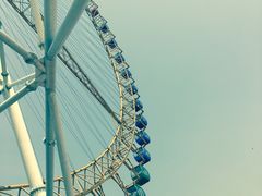 -石家庄市动物园