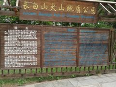 -峡谷浮石林景区