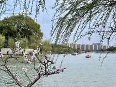 -八大山人梅湖景区