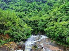 -广州白江湖森林公园