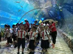 -华夏文旅海洋公园