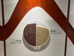 -中国中医科学院西苑医院(本部)