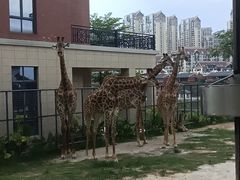 -灵玲国际马戏城