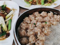 -新楚记