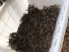 -蟹谢蒸鲜自助餐厅
