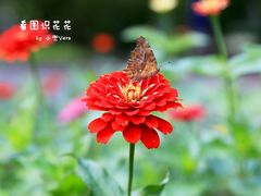 -吉林大学(南岭校区)