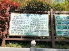 -青岛崂山太清宫