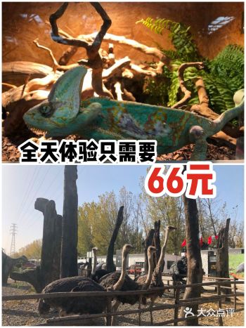 全天体验才需要66元呢。