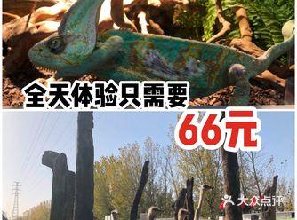 全天体验才需要66元呢。