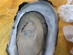 生蚝-蚝专家(北滘店)