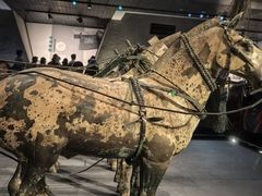 -秦始皇帝陵博物院-丽山园