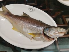 -吴记富苑(朝阳店)