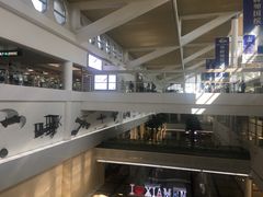 -厦门高崎国际机场-T3航站楼