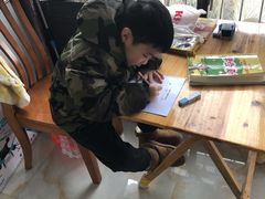 -小问号·科学启蒙·逻辑思维·阅读素养·口才演讲(杨浦合生汇中心)