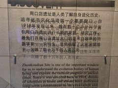 -北京周口店北京人遗址博物馆