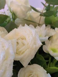 -绿皮火车照相馆 婚纱照旅拍(厦门店)