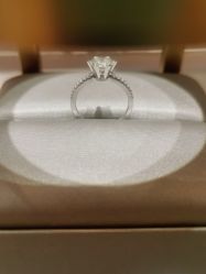 -I Do(镇江苏宁广场店)